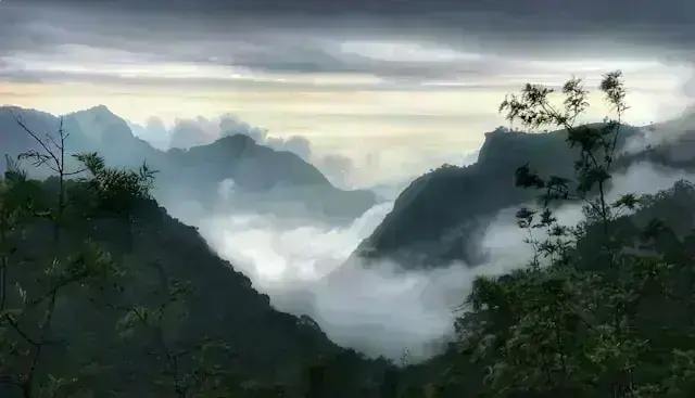 Coonoor Thumb 2