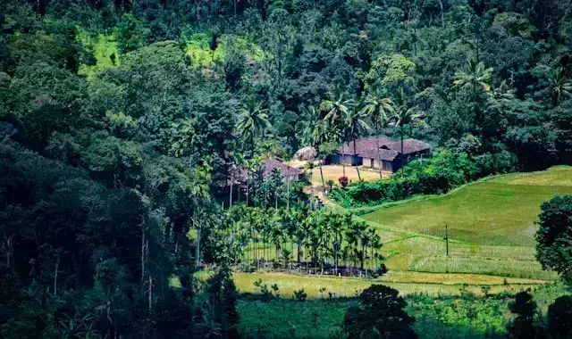 Coorg Weekend Getaway