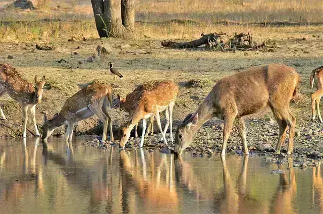 Coimbatore Nature Trails