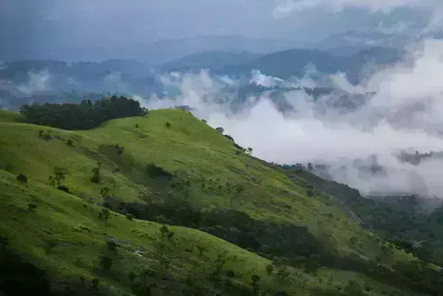 Wayanad Weekend Getaway